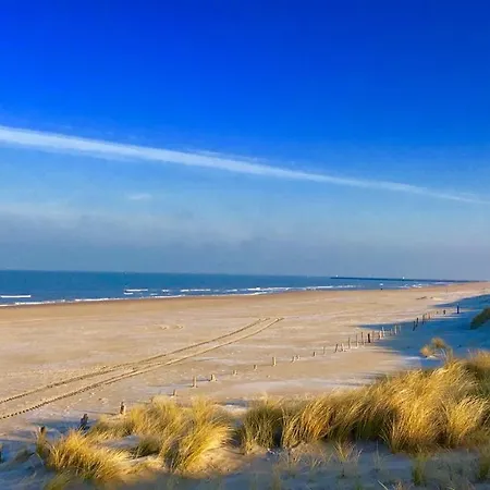 Boutique Hide & Seek, Bed & Beach Haag